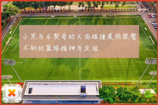 小黑与东契奇的火花碰撞展现桀骜不驯的篮球精神与友谊